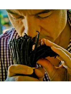 Shalimar Eau de Toilette