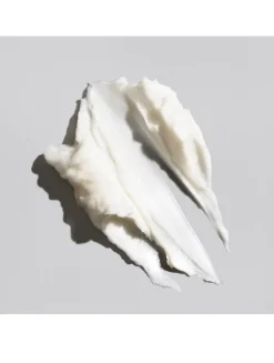 Signature Moisture Masque