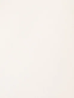 Silk Cowlneck Blouse