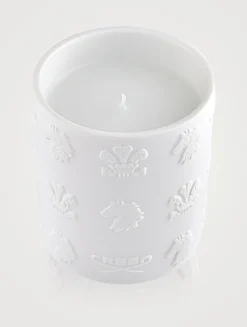 Silver Mountain Water Candle
