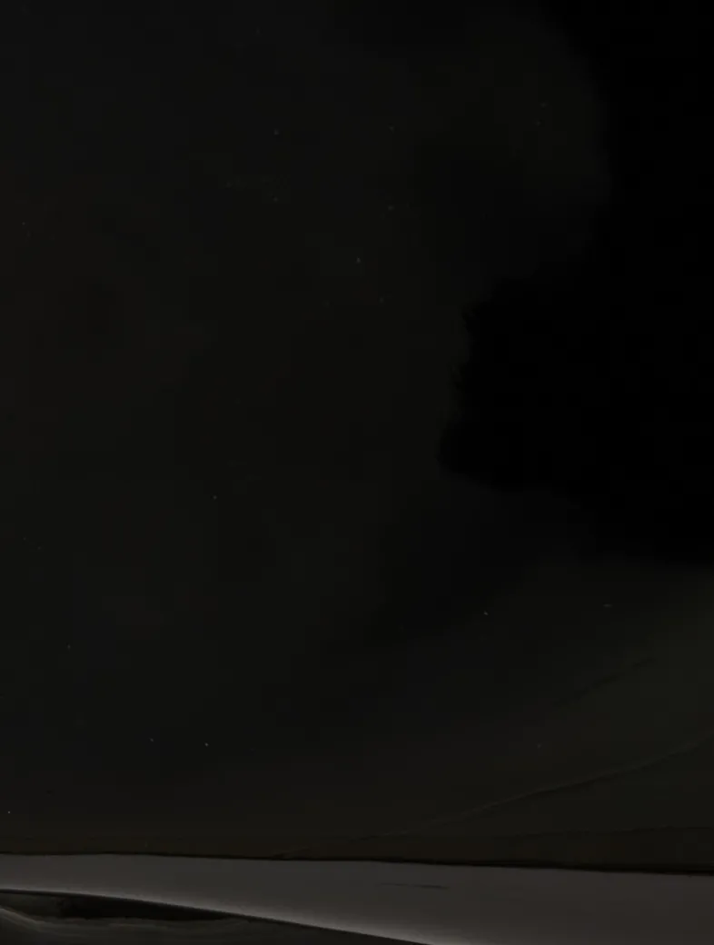 Small Loubitwist Patent Leather Shoulder Bag