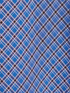 Sofia Voile Dress In Check Print