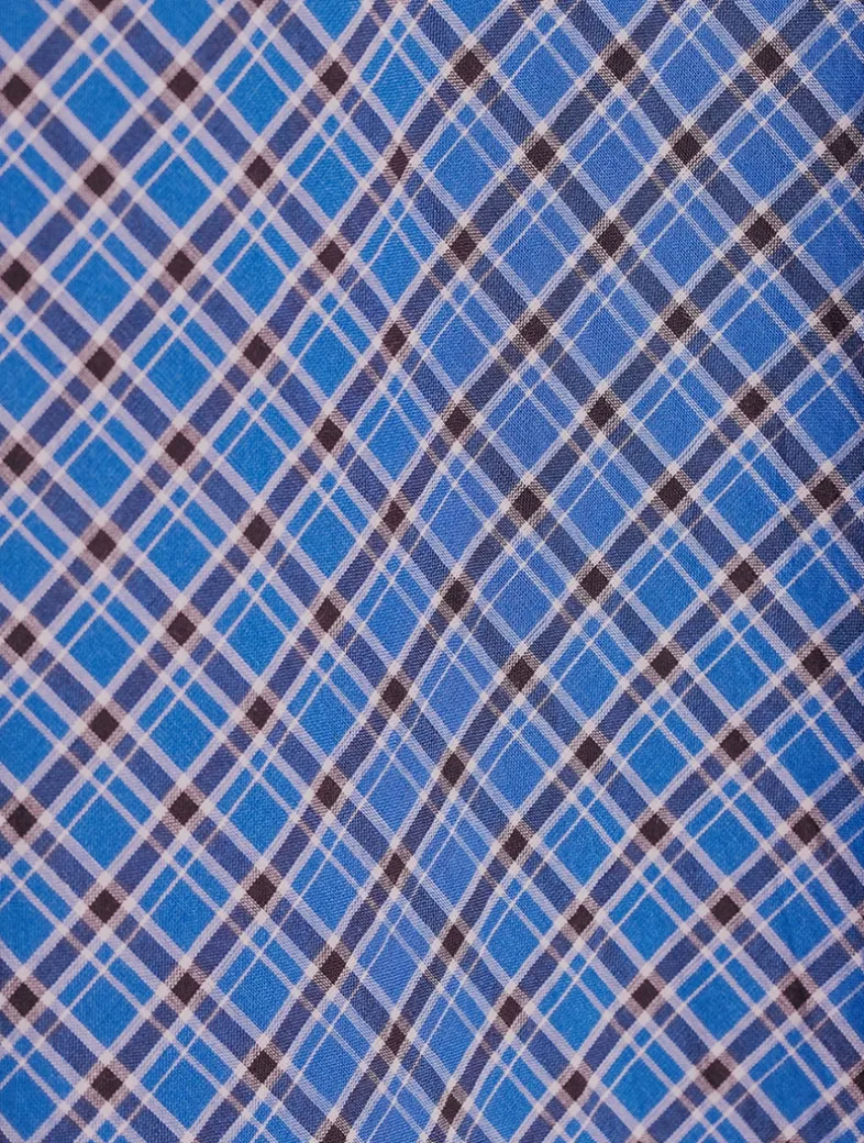 Sofia Voile Dress In Check Print