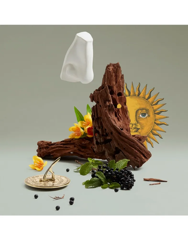 Solaris Eau de Parfum