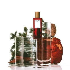 Solo Cedro Eau de Toilette