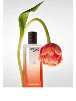 Solo Ella Elixir Eau de Parfum