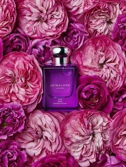 Taif Rose Cologne Intense