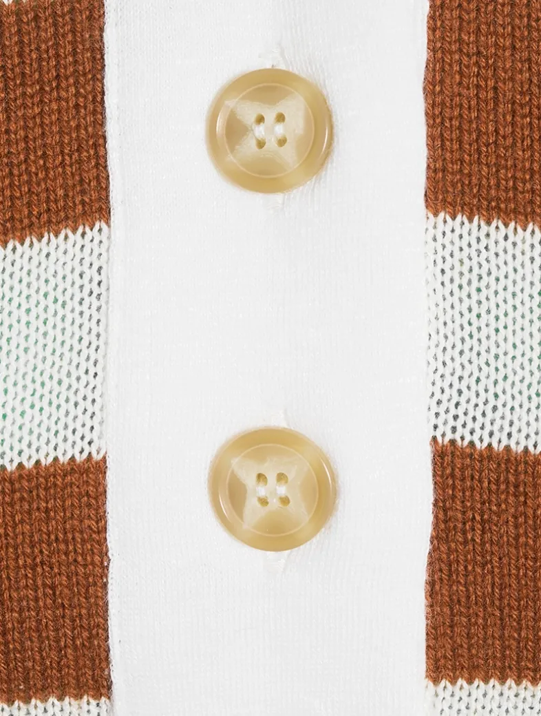 The Bold Stripe Polo Shirt