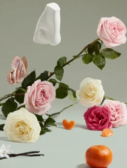 The Coveted Duchess Rose Eau de Parfum