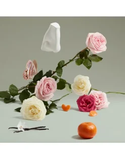 The Coveted Duchess Rose Eau de Parfum