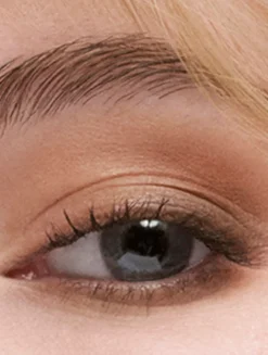 The Essential Eyeshadow Quad