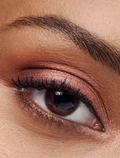 The Essential Eyeshadow Quad