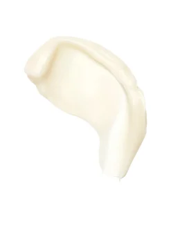 The Light Moisturizer