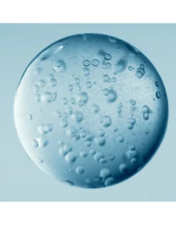 The Moisturizing Fresh Cream