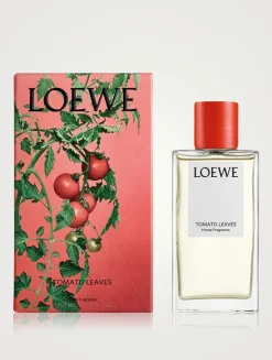 Tomato Leaves Home Fragrance