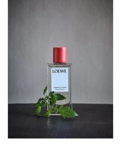 Tomato Leaves Home Fragrance