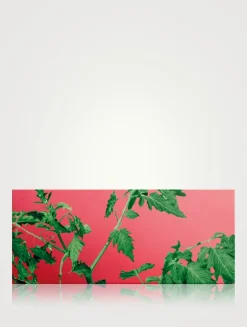 Tomato Leaves Solid Soap