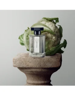 Tonka Blanc Eau de Parfum