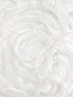 Tulle Lace Mini Dress