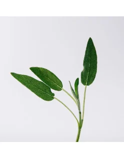 Un Paseo por Madrid Prado