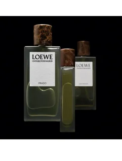 Un Paseo por Madrid Prado