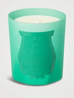 Under the Trees Scented Candle