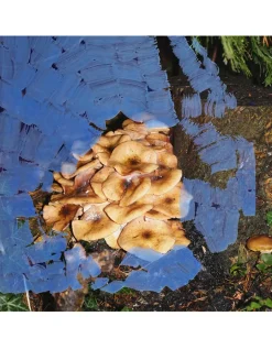 Vanquish Fragranced Candle