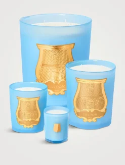 Versailles Great Candle