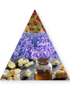 Viking Cologne Eau de Parfum