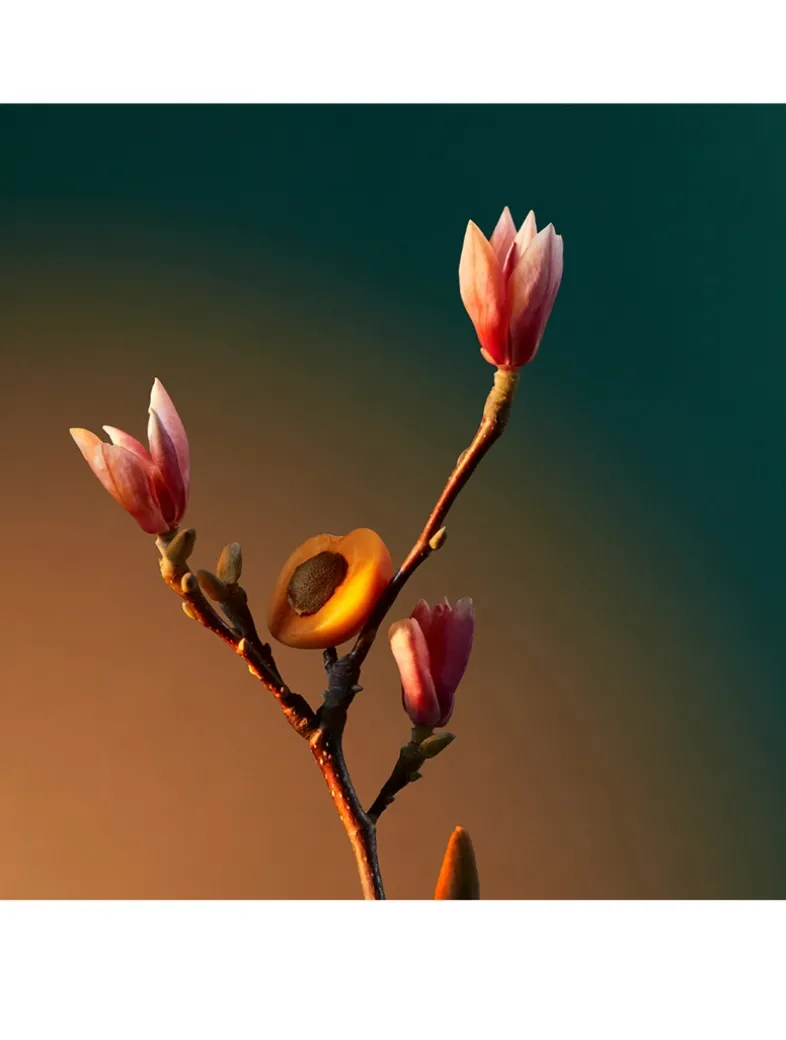 Vra Vra Vroom Eau de Parfum