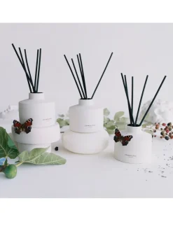 Wild Berry & Bramble Diffuser