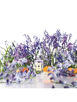 Wild Bluebell Cologne
