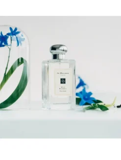 Wild Bluebell Cologne