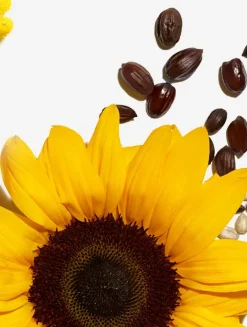 Wonder Volume Mascara XXL - Limited Edition