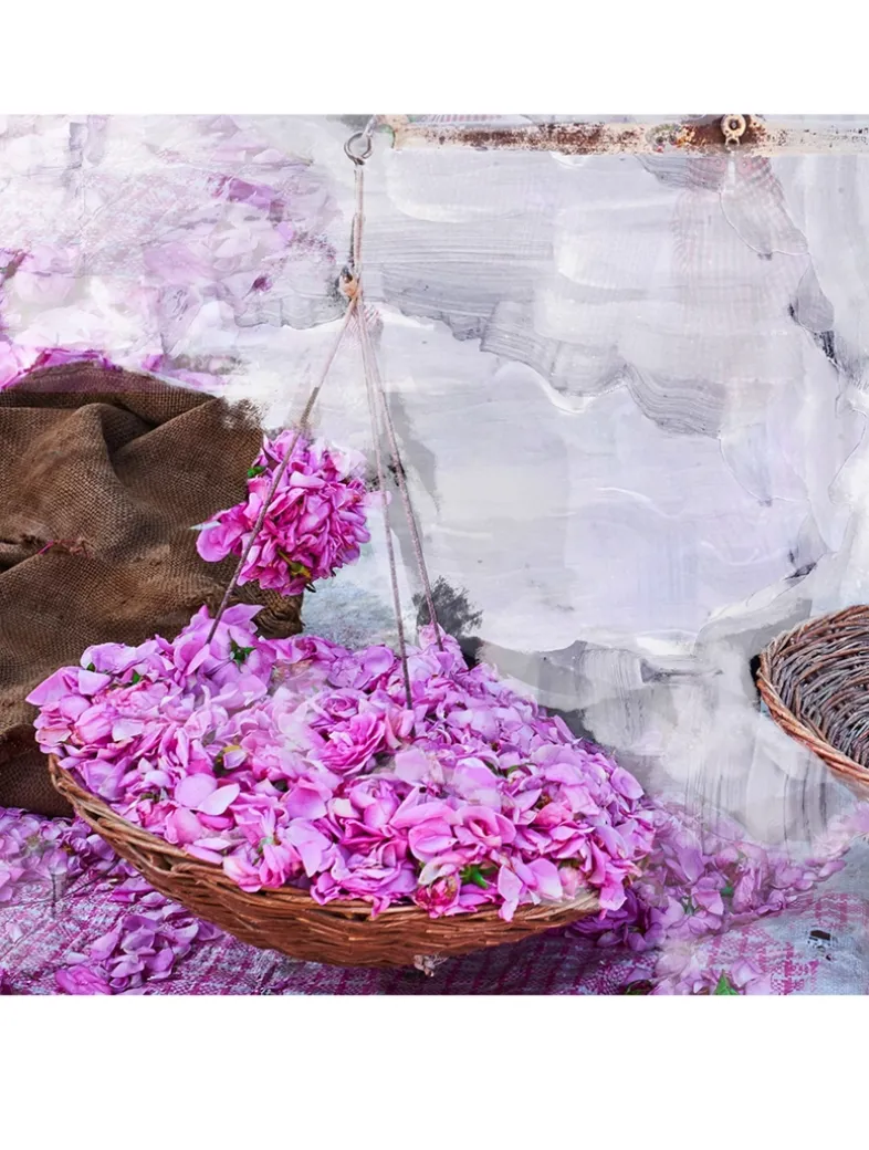 Young Rose Eau de Parfum